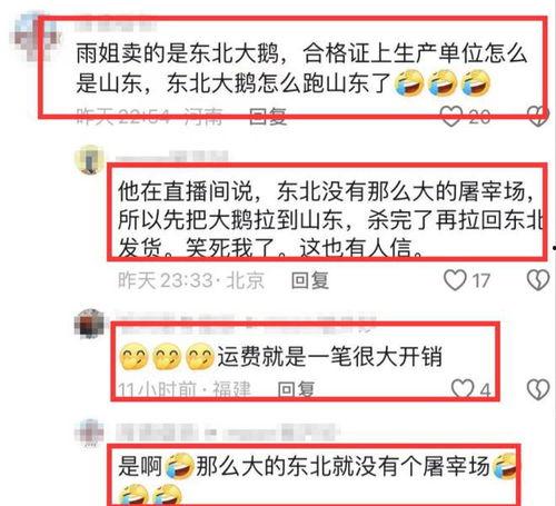 爆料大鹅解说视频网易版,揭秘游戏幕后故事与精彩瞬间 第1张 爆料大鹅解说视频网易版,揭秘游戏幕后故事与精彩瞬间 第1张